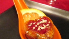 Bouchées gourmandes au thon et coriandre