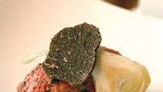 Tartare de bazadaise truffé et pommes de terre