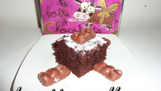 Moelleux aux oursons