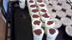 Les verrines framboises spéculos