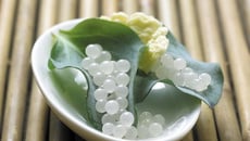 Perles des sous bois, feuilles d'huître et beurre 1/2 sel