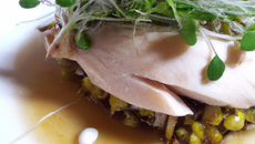 Blanc de poulet fumé, au foie gras et petites pousses