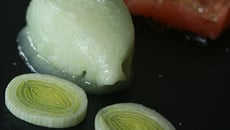 Fraîcheur de saumon-poireau à la gelée et sorbet ARIAKE