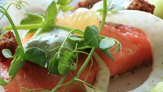 Saumon mariné au sel recette danoise