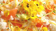Riz fleuri aux saumons à la japonaise