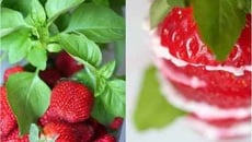 Antipasto de fraises, fromage de chèvre frais et basilic