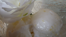 Sorbet au citron