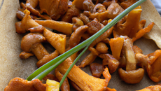 Girolles à la ciboulette