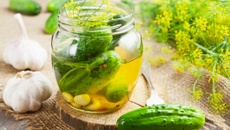 Conserve de cornichons