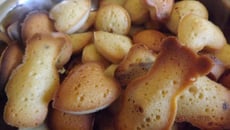 Madeleines économiques