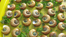 Escargot à la thièrachienne en robe des champs