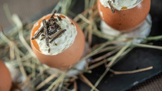 Œufs toqués à la truffe noire du Lot