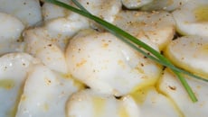 Carpaccio de saint Jacques marinées à la tonka