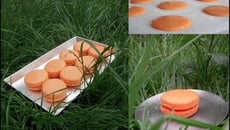 Le Macaron Mandarine