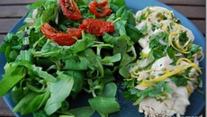 Salade fraicheur de poulet aux fines herbes
