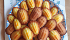 Madeleine de tante Suzanne