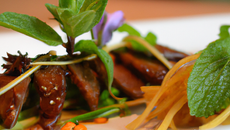 Aiguillettes de canard façon thaï