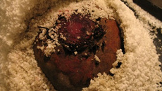 Betterave rouge en croûte de sel