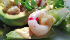 Salade d'écrevisses à  l'avocat et fenouil