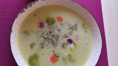Soupe de printemps