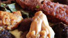 Chapon au boudin et morilles