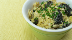 Brouillade d'œufs aux morilles
