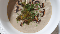 Crème de champignons