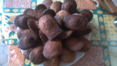 Les madeleines