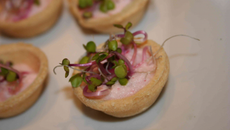 Mini tartelette pousse et mousse de radis