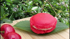 Macarons coquelicot / cerise