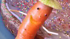 Mr Carrot vous présente: THE Carrot Cake !