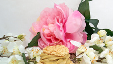 Choux craquelin à la pistache, à la vanille et à la framboise