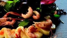 Salade de Princesse Amandine aux langoustines et mesclun de jeunes pousses