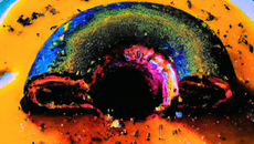 Cake Psychédélique