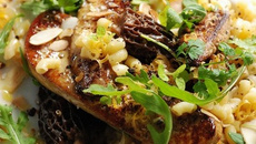 Coquillette en pastasoto aux morilles et au foie gras