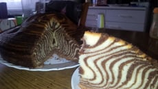 Gâteau zébré vanille chocolat