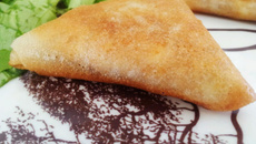 Briques au thon et au fromage