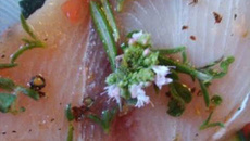 Steak de requin au pastis et aromates frais