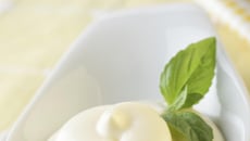 Sauce Camembert Le Rustique