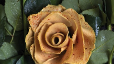 Carpacio de foie gras aux figues & noix