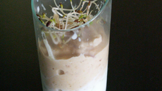 Verrine chevelue tzatziki, crème de pois chiche