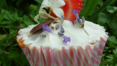 Cupcakes citron et fleurs de lavande
