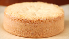 Sponge cake