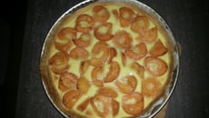 Tartelette aux abricots