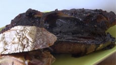 Pulled pork ou porc effiloché