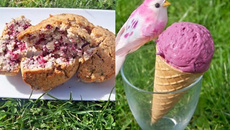 Démonstration autour du karcadé, glace à l'hibiscus et financiers aux fleurs d'hibiscus