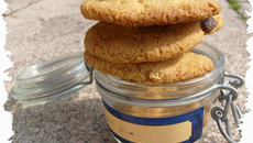 Cookies aux 2 chocolats et à la coco