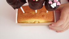 Petits cakes et leurs sucettes