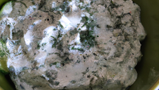 Tzatziki facile et rapide