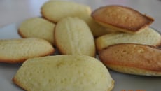 Madeleines légères au miel